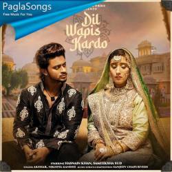 Dil Wapis Kar Do Poster