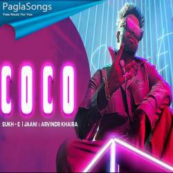 Coco   Sukh E Poster