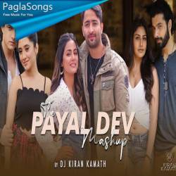 The Payal Dev Mashup Poster